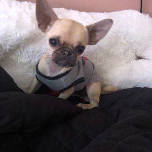 Meet your Posher, Hailey